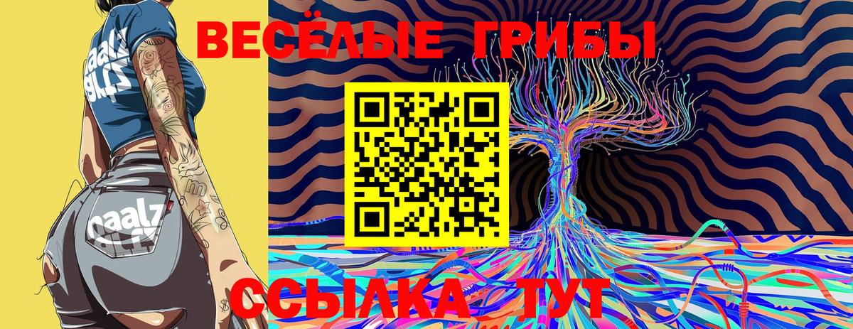 Псилоцибиновые грибы GOLDEN TEACHER Кувандык